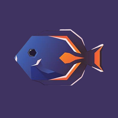 Mystery Wrasse