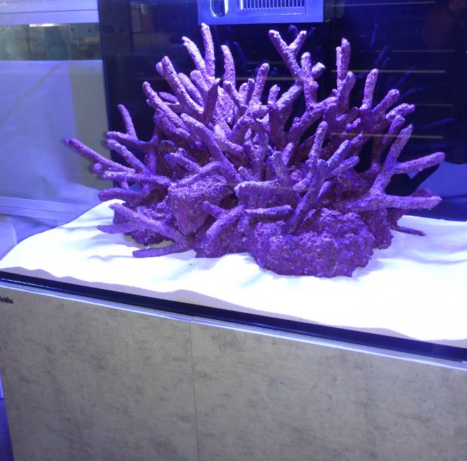 Real Reef Branching Rock (Per kg)